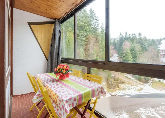 Daire Belle Hutte - Montagne Et Parking Prive La Bresse